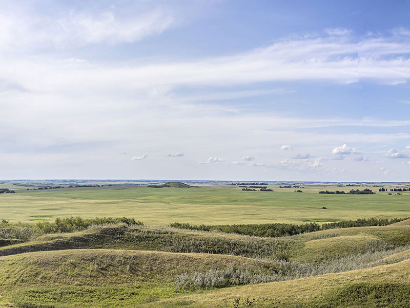 photo of a field