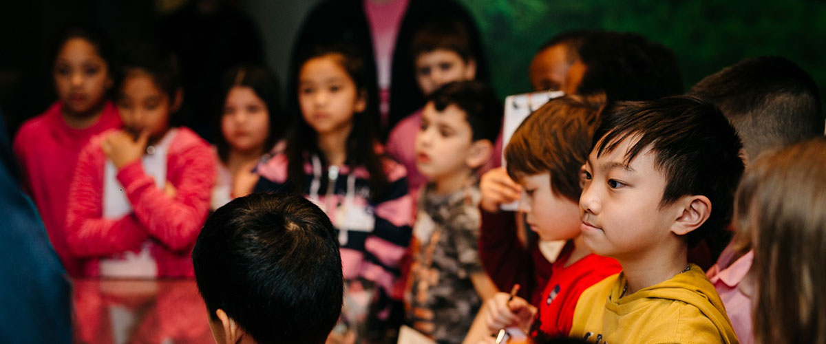 children paying attention to educators