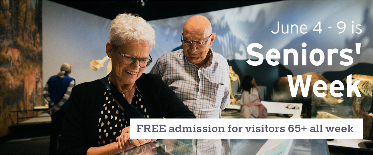 Two seniors smile as they look at an exhibit case. Text overlays the image, stating: 'June 4-9 is Seniors' Week. Free Admission for visitors 65+ all week'