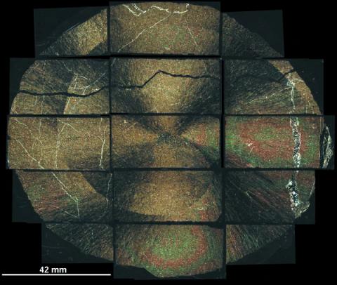 Photos courtesy: Andrew Locock et al