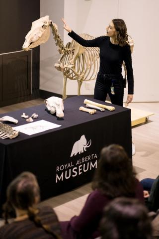 A view from a theatre seat. You are looking over the heads of other people in the theatre. A female presenter stands by a skeleton of a horse. There is a table beside her with other bones on it.